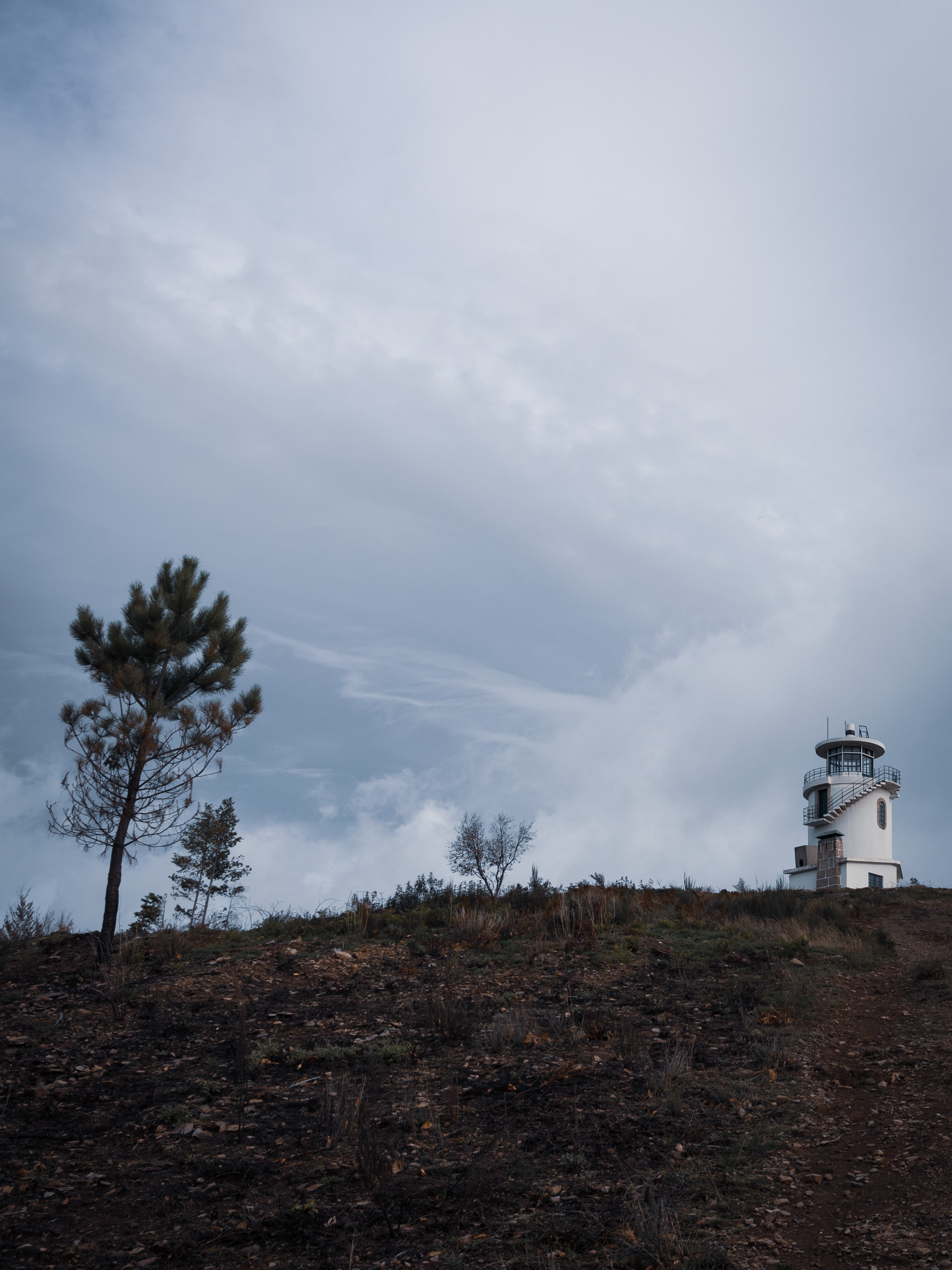 faias são lourenço autumn