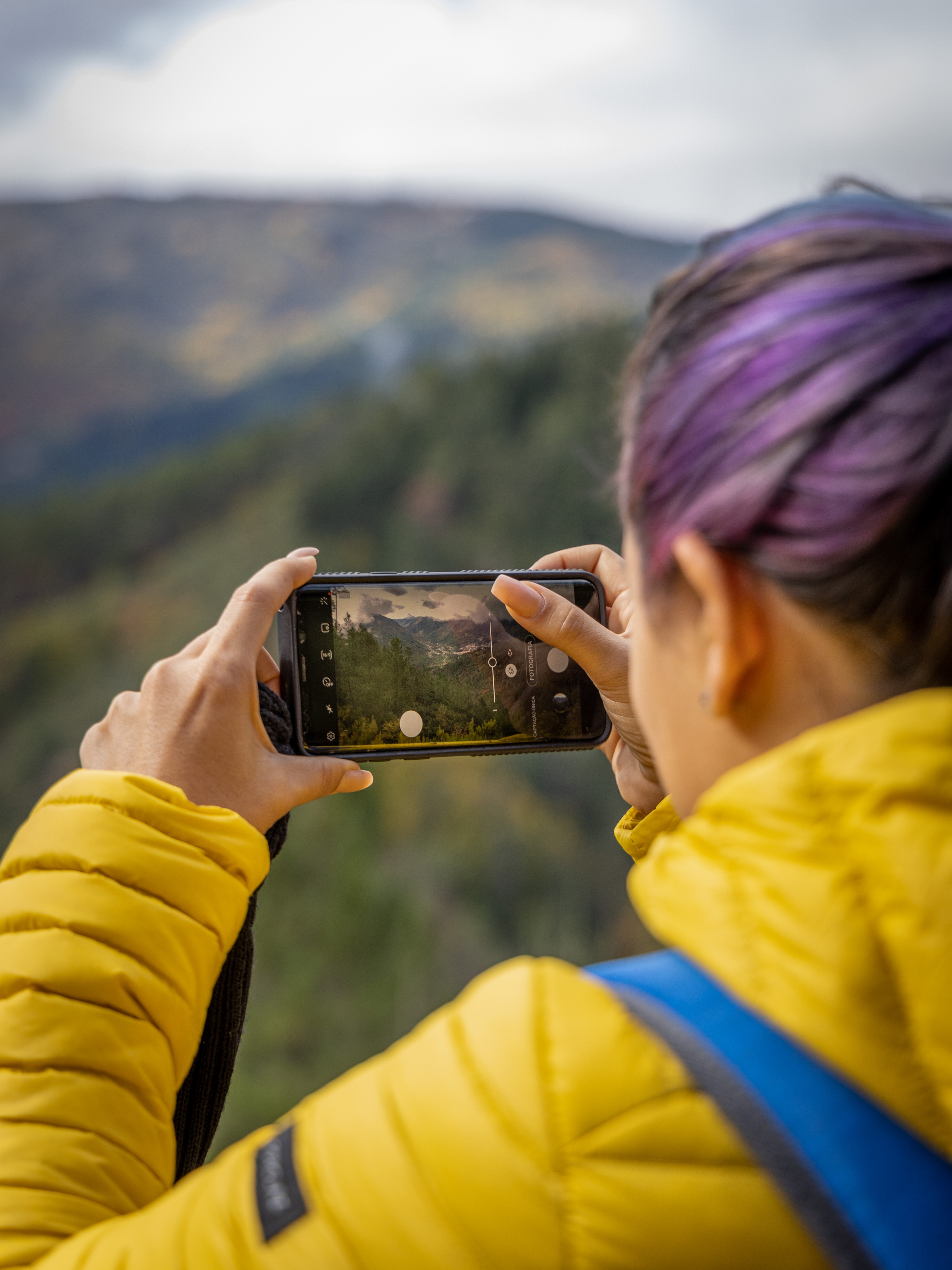 faias são lourenço autumn