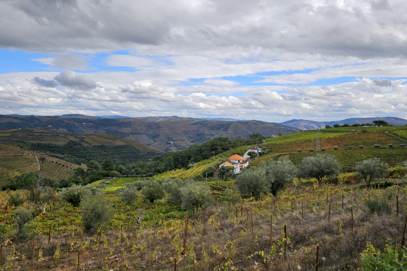 Douro Valley Tour