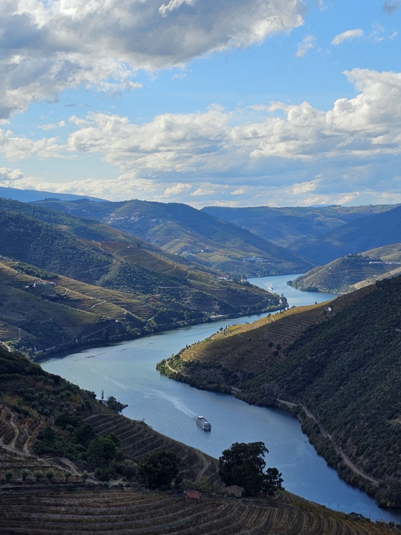 Douro Valley tour