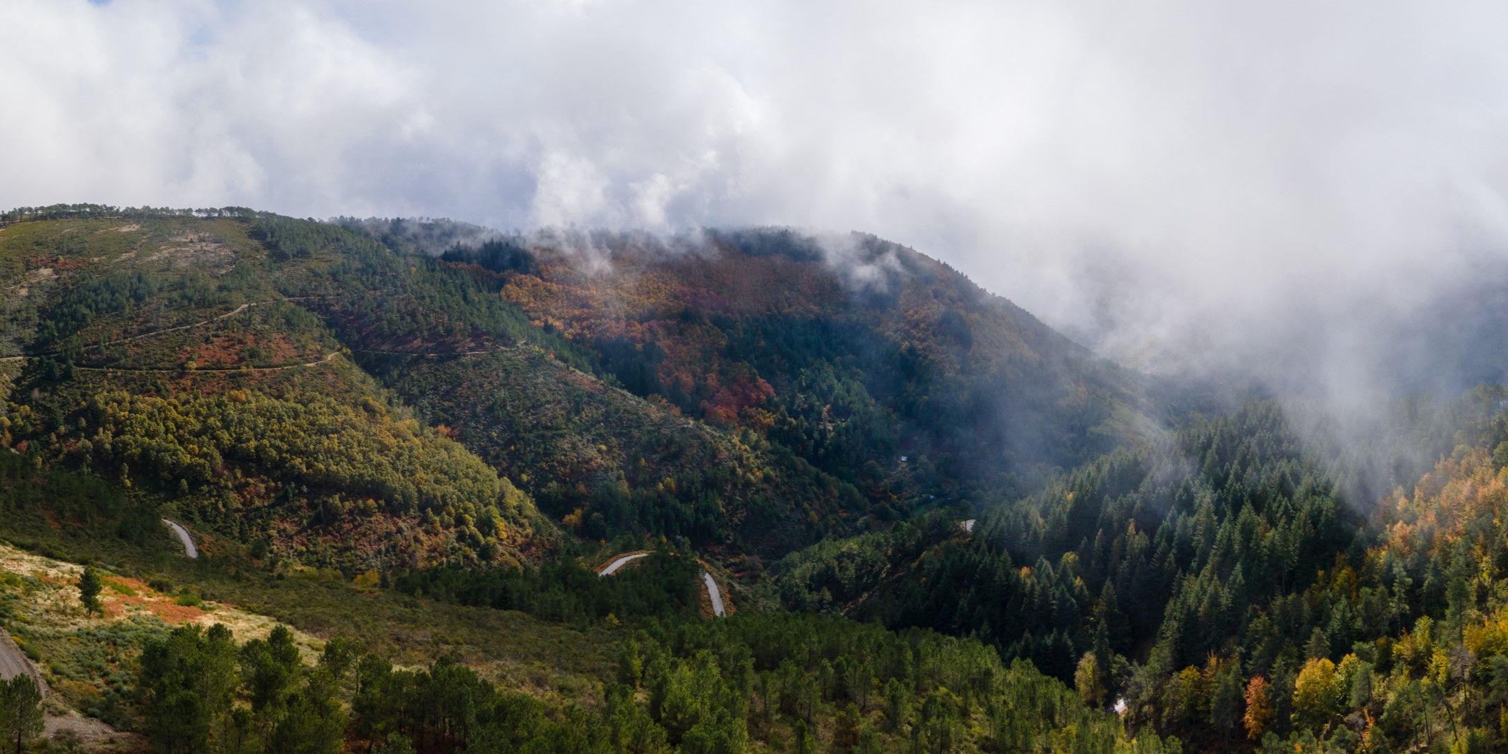 faias são lourenço autumn