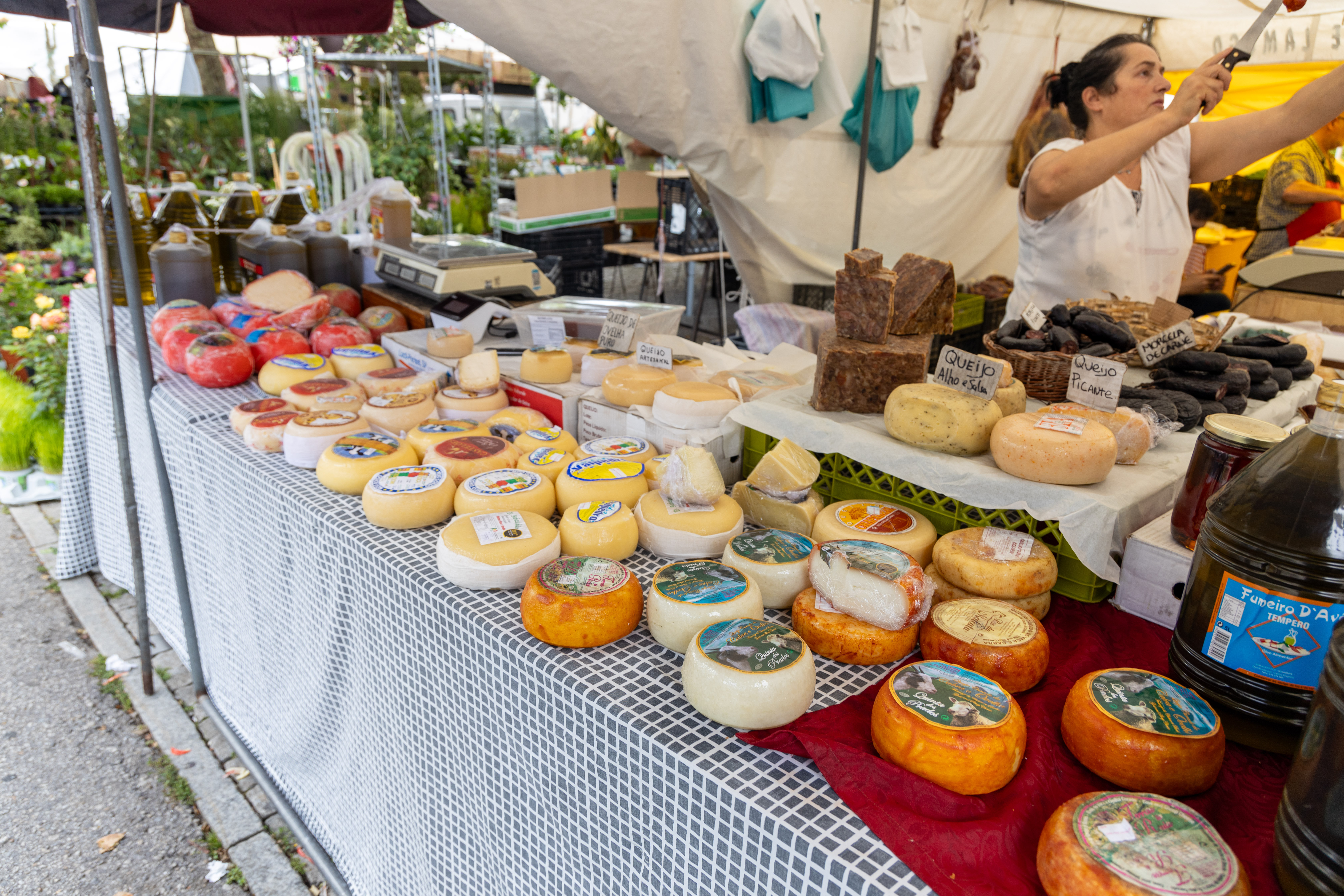 Feira de Espinho porto-lisbon transfer