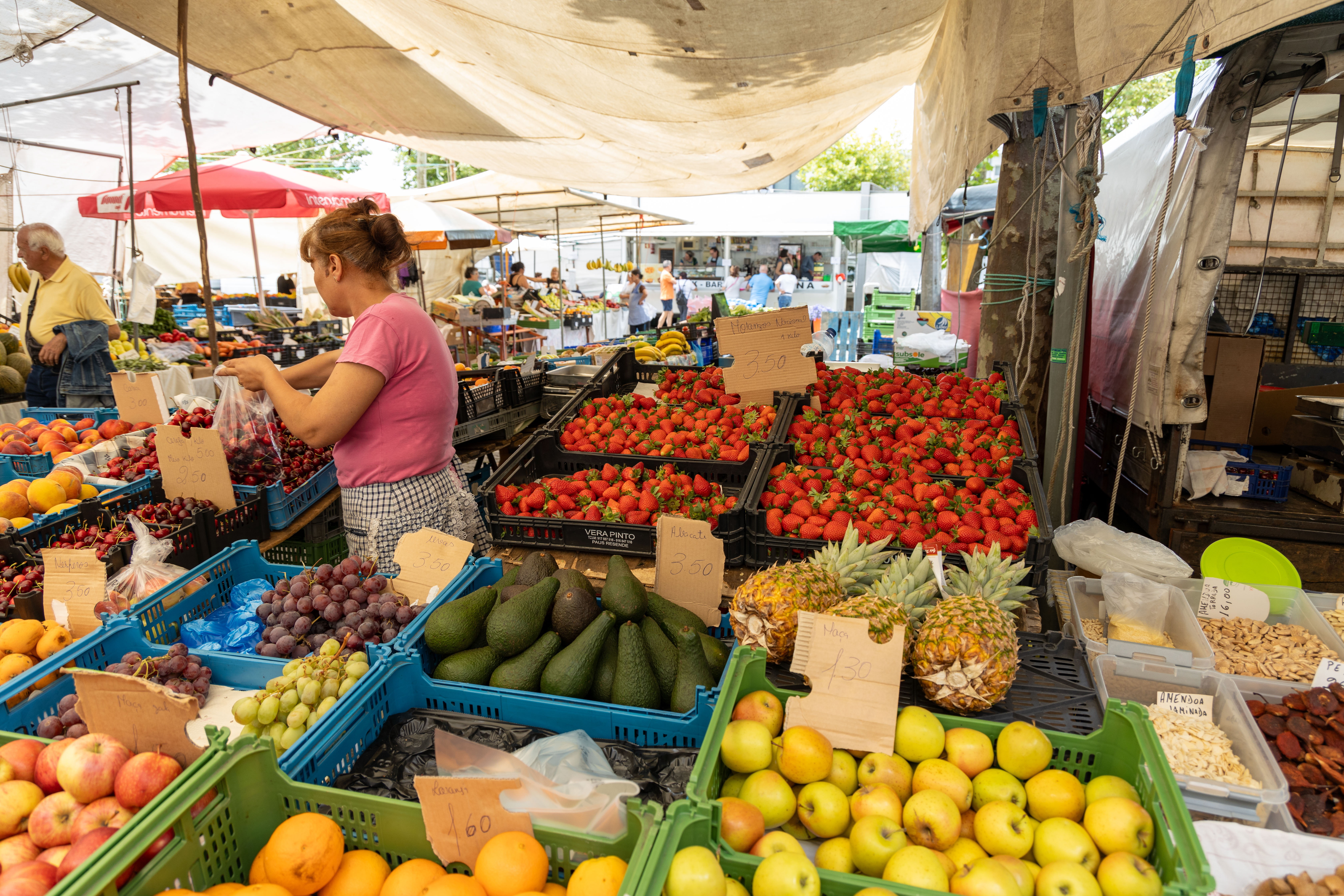 Feira de Espinho porto-lisbon transfer
