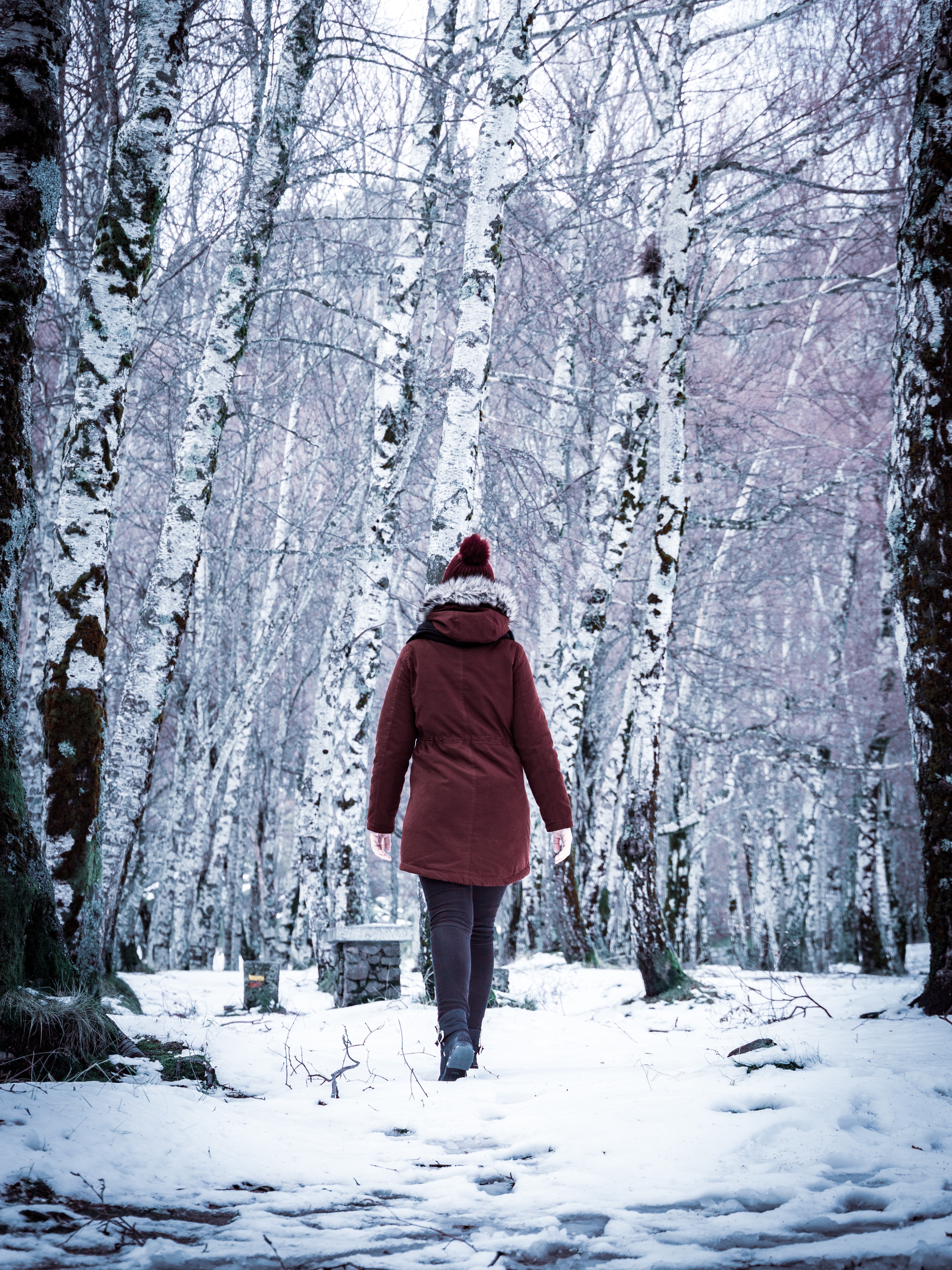 covão da metade in winter with snow