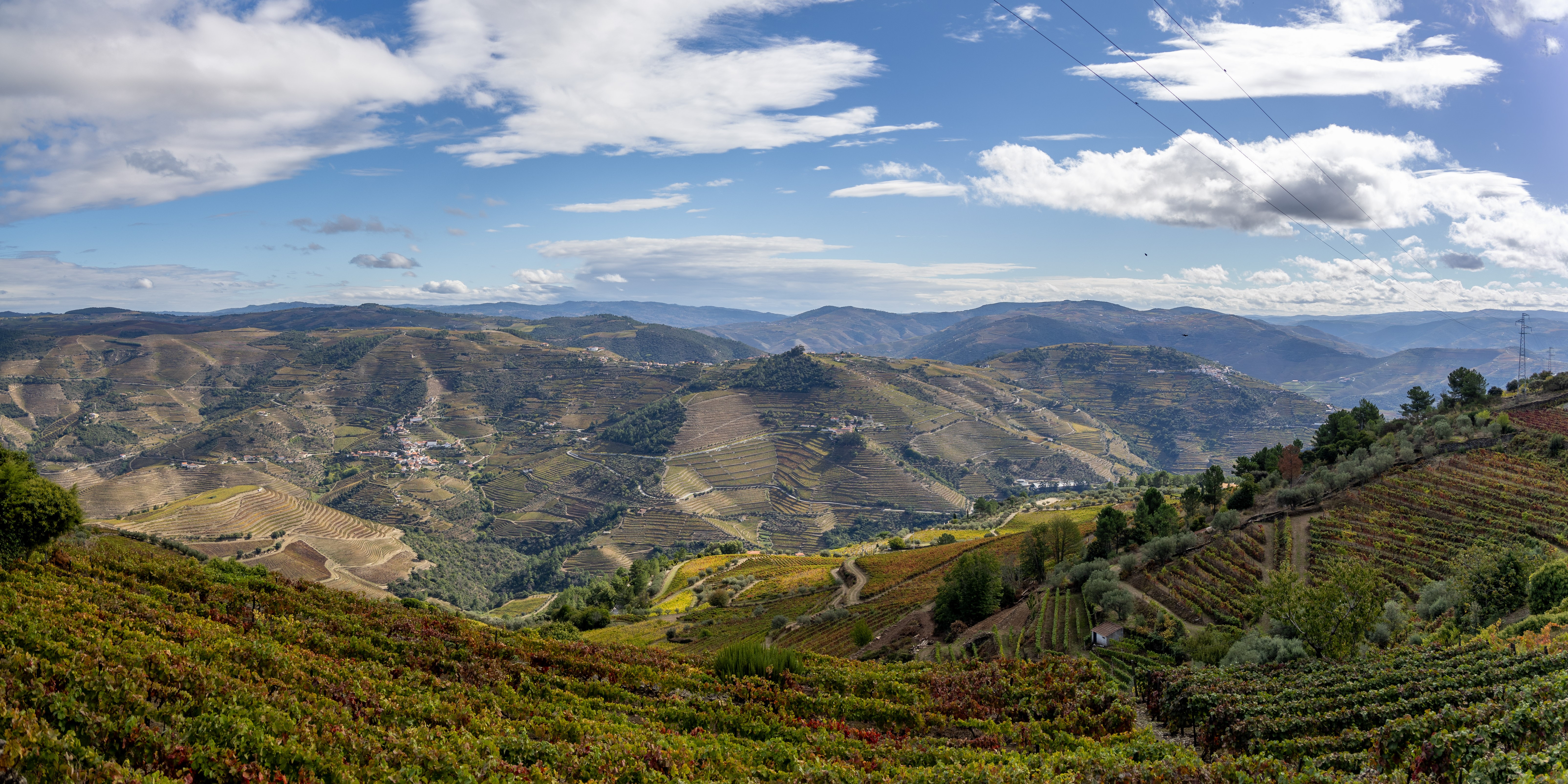 Douro Valley Tour