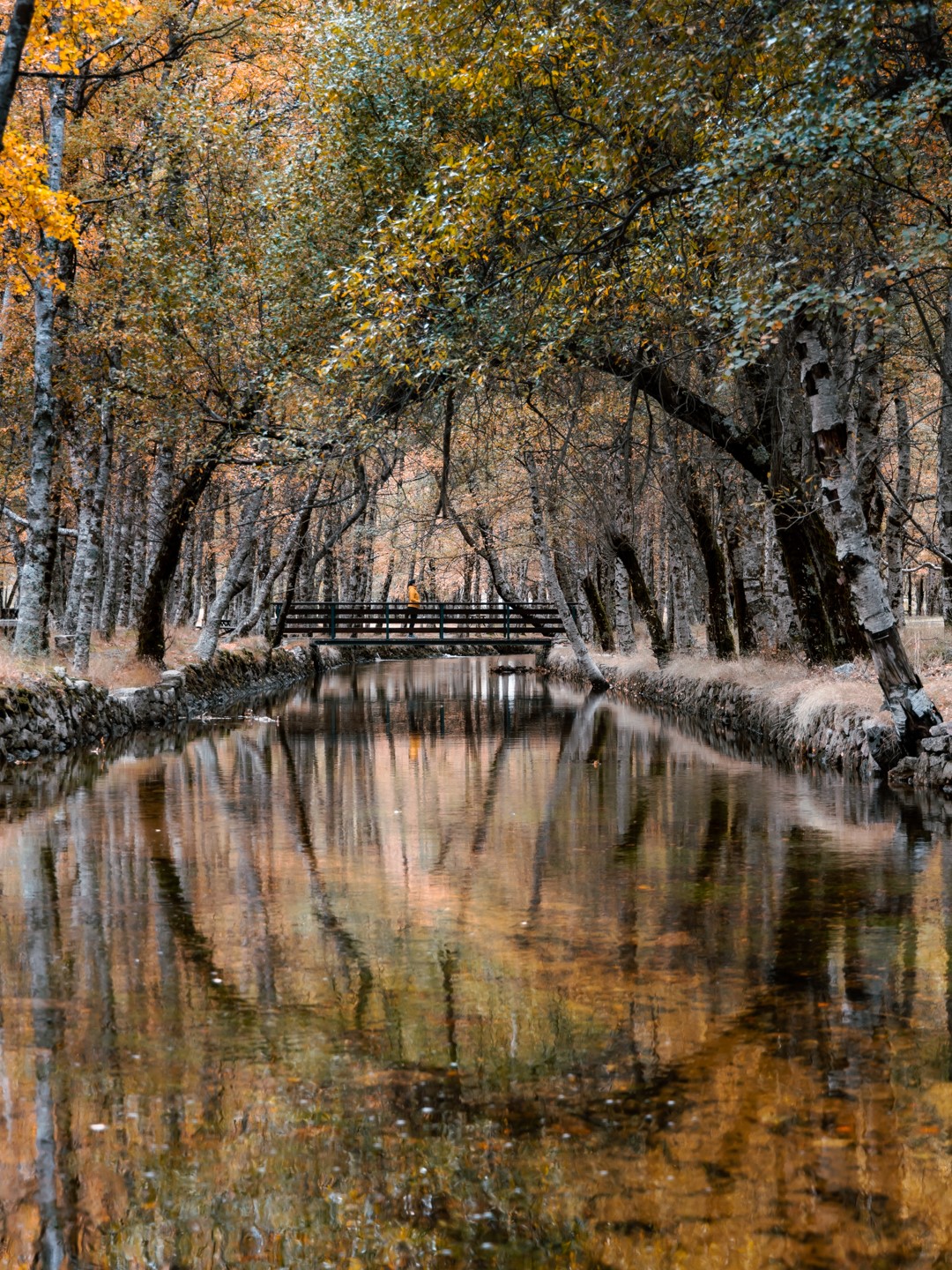 Serra da estrela autumn