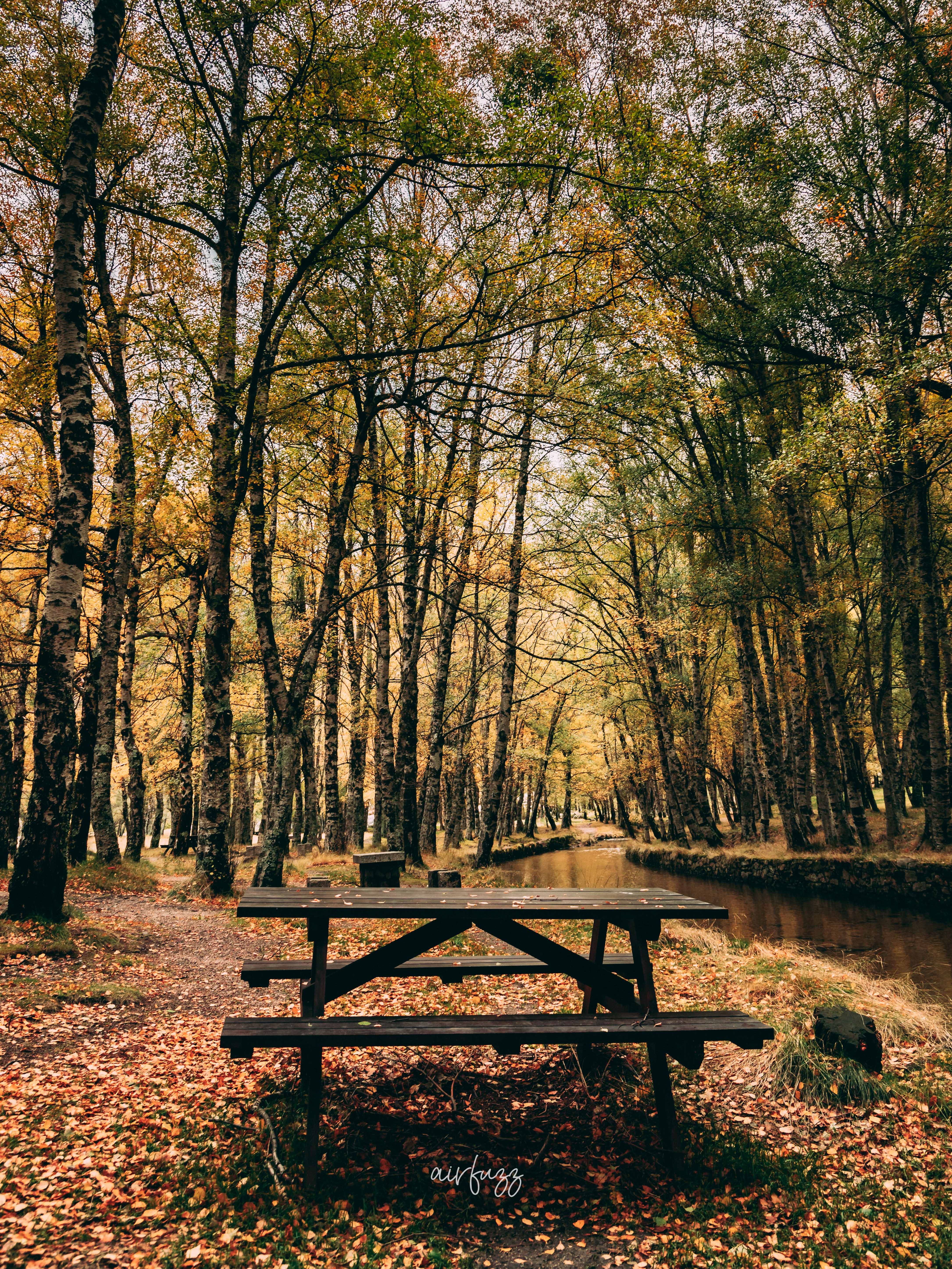 Serra da estrela autumn