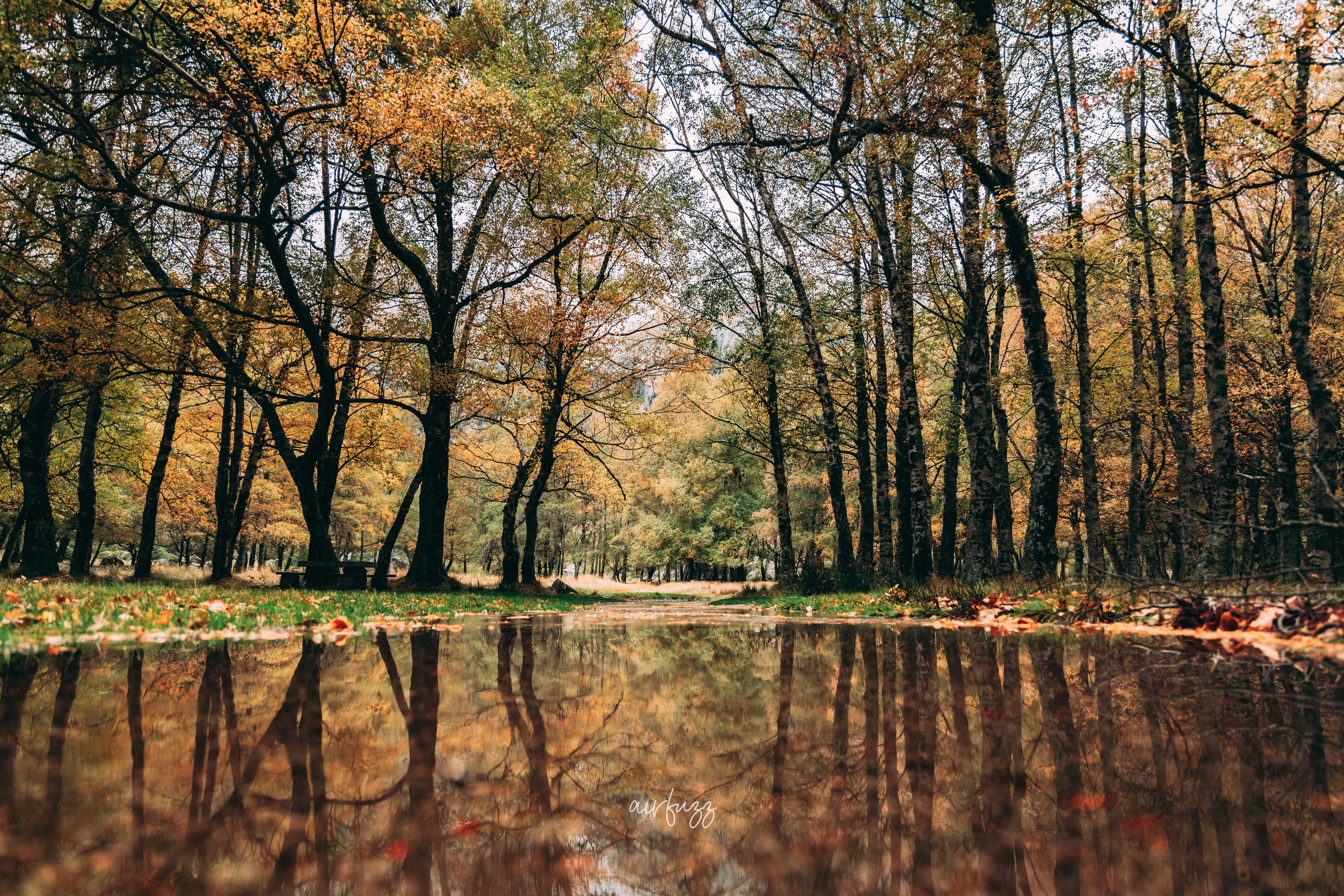 Serra da estrela autumn