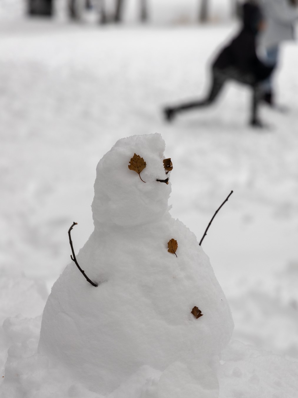 Serra da estrela with snow