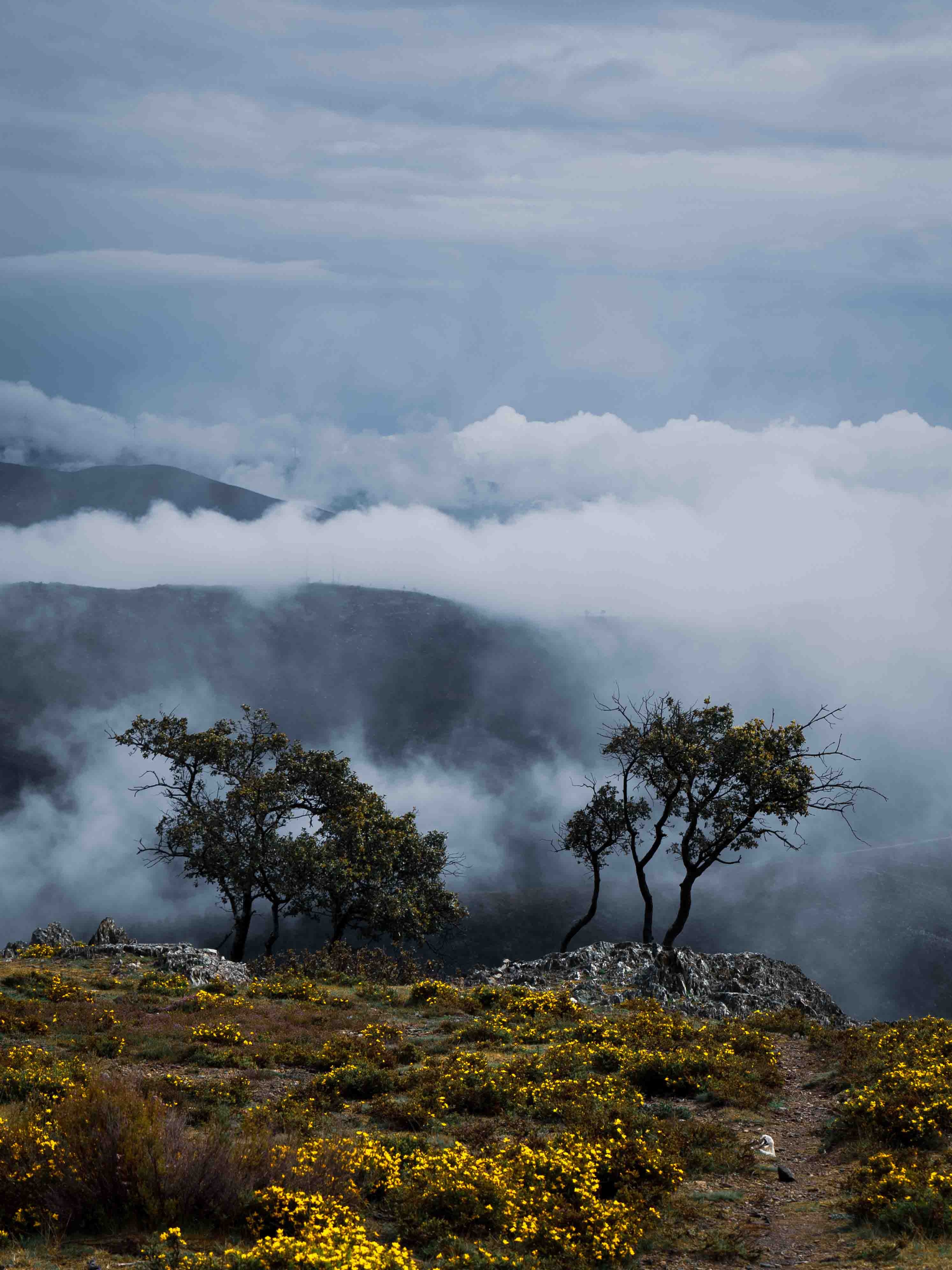 Arouca Paiva Portugal Tour