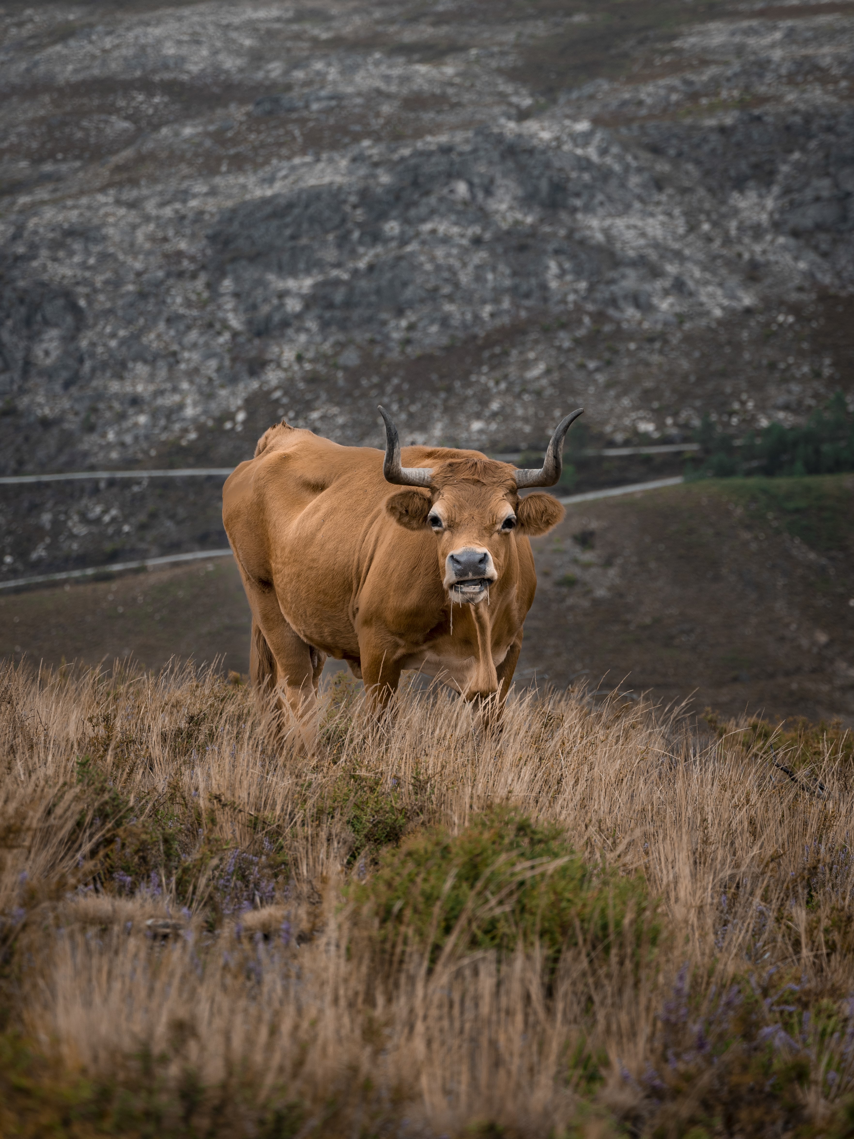 Arouca Paiva Portugal Tour