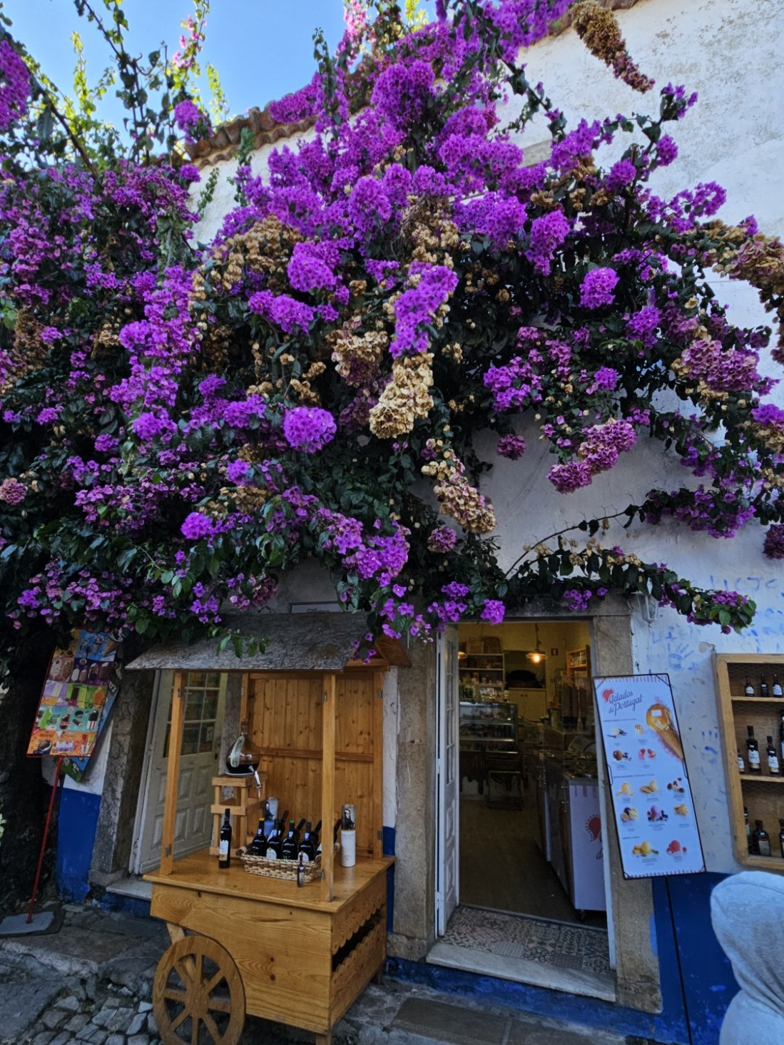 Óbidos tour porto-lisbon transfer