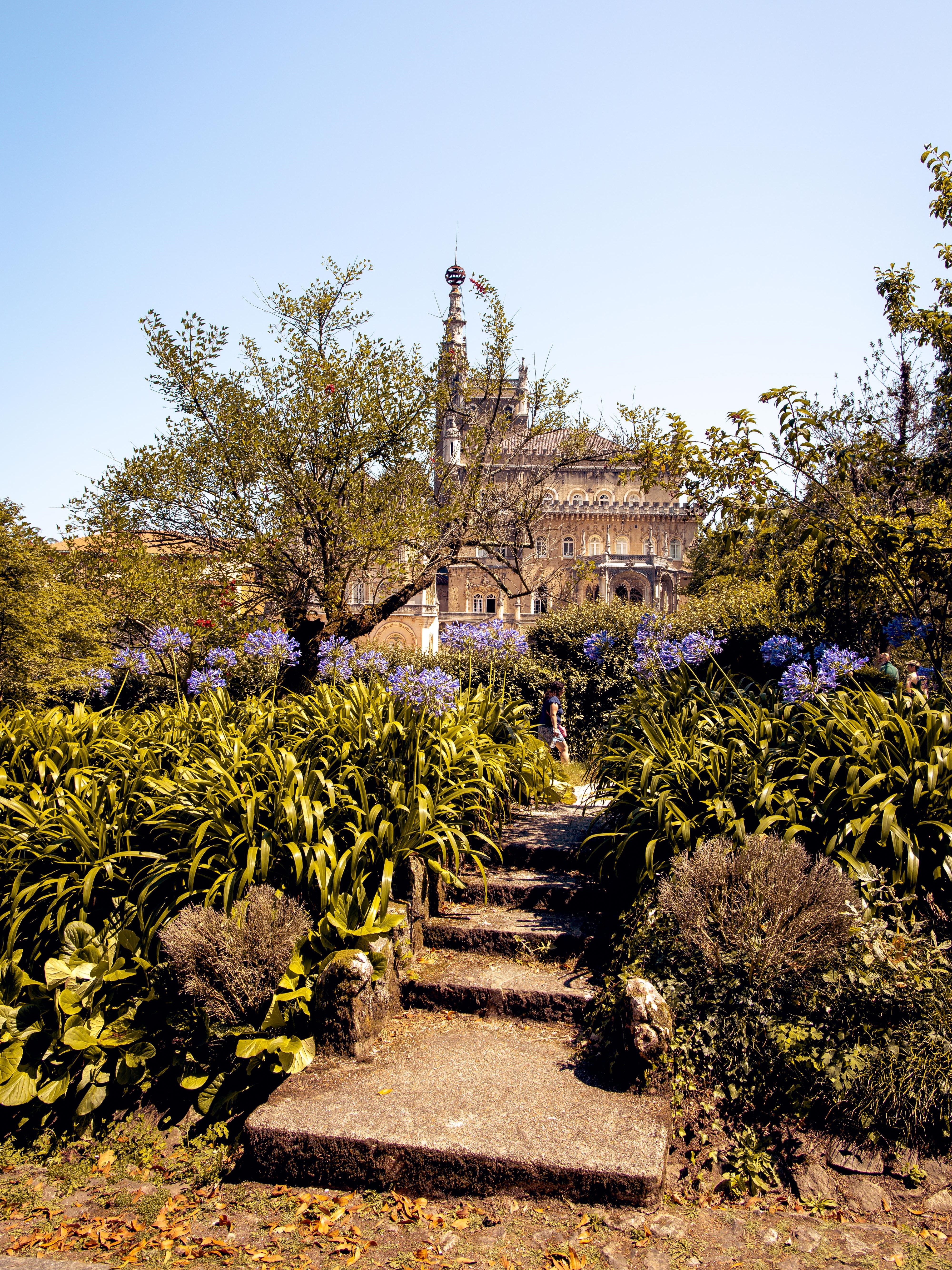 Bussaco palace tour porto-lisbon transfer