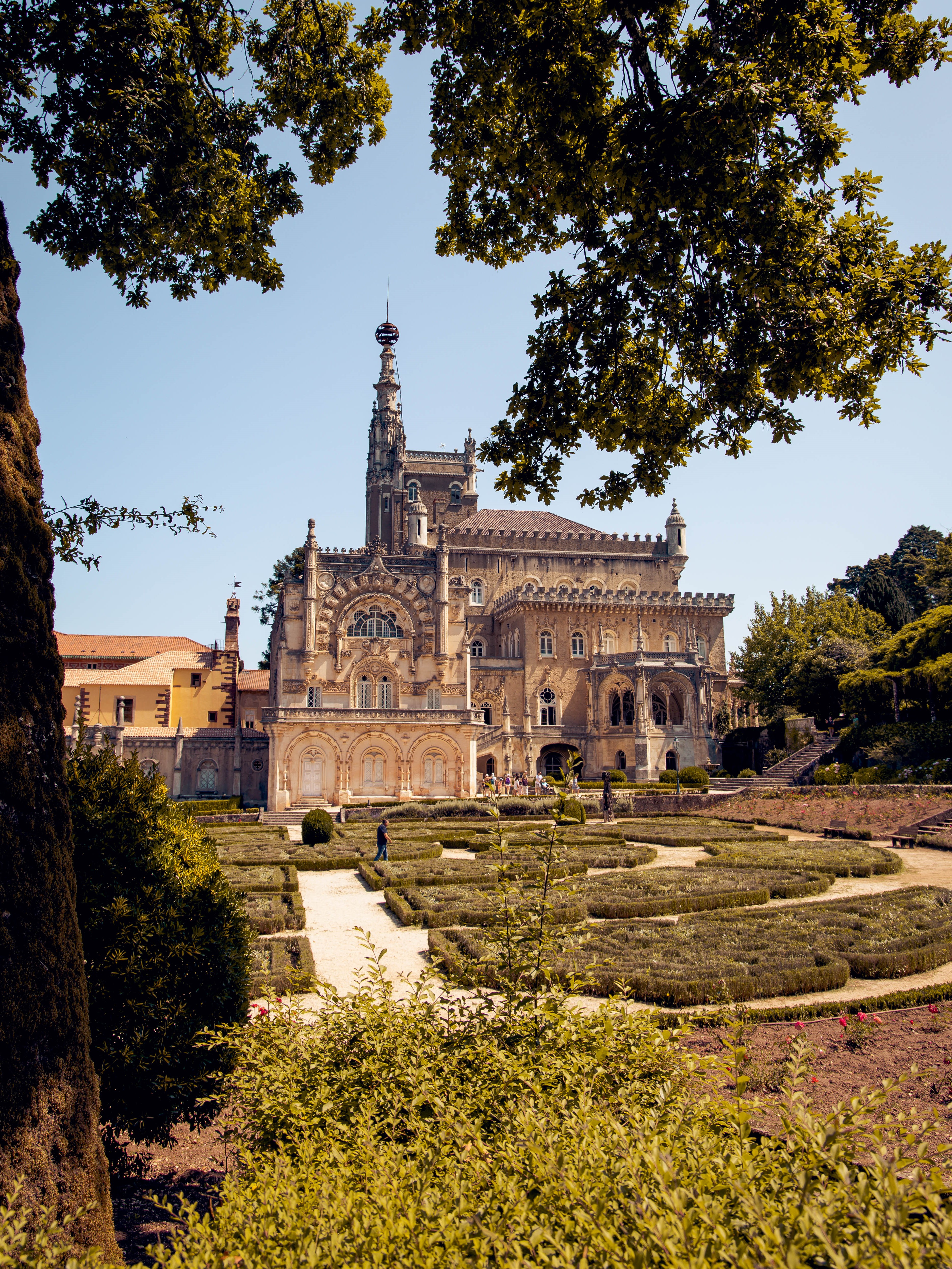 Bussaco palace tour porto-lisbon transfer