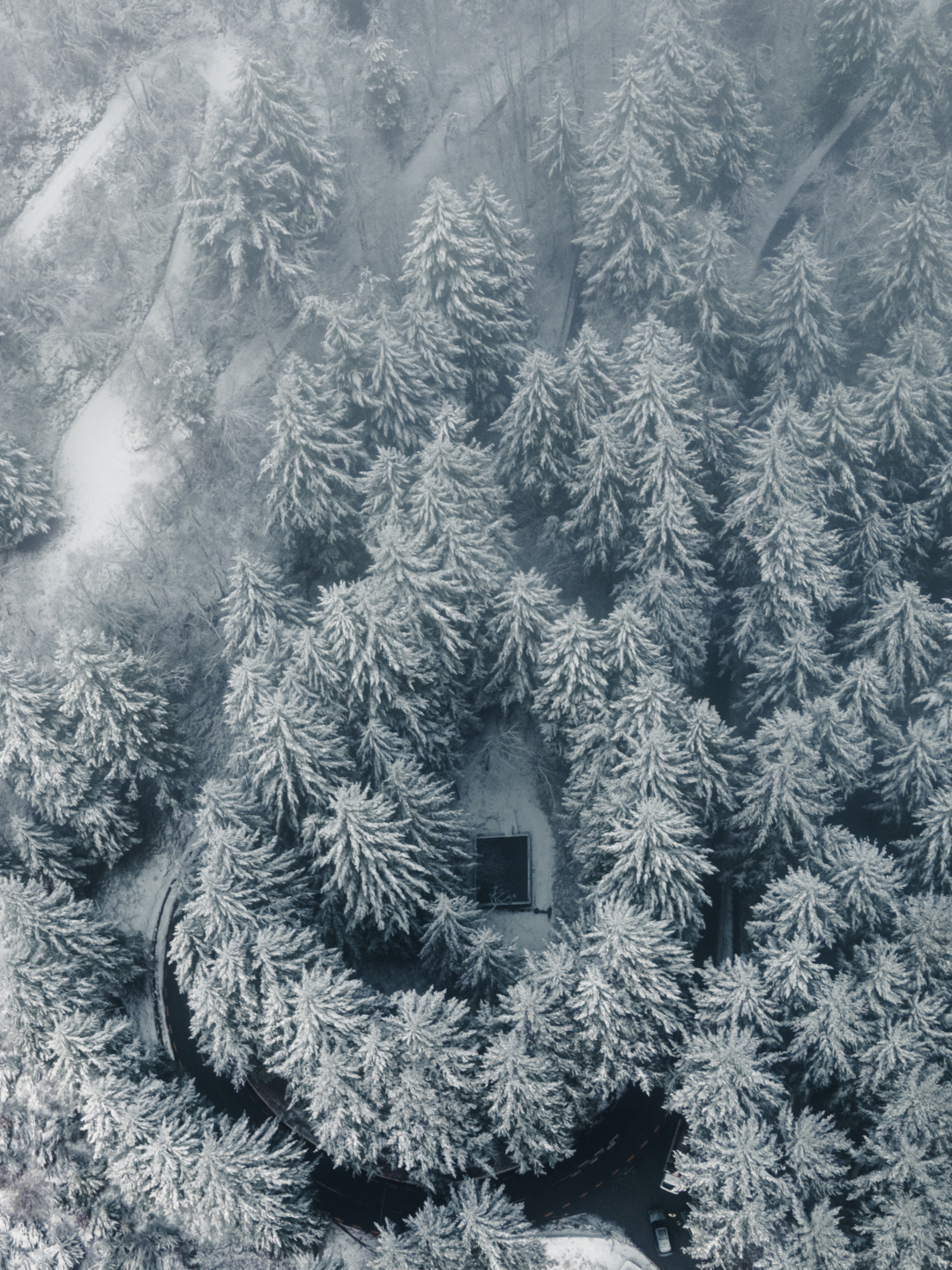Serra da estrela with snow